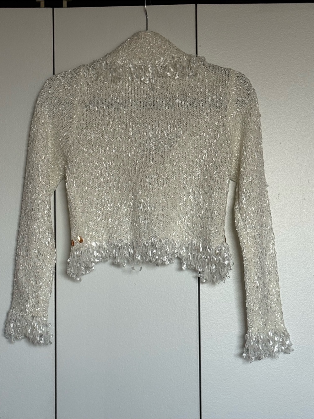Vintage Beaded Fringe Knit Cardigan Sweater in Cream - Picture 3 of 6